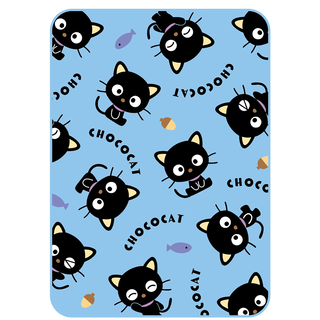 BLANKET  CO